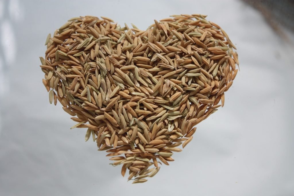 rice water for hair growth the blog