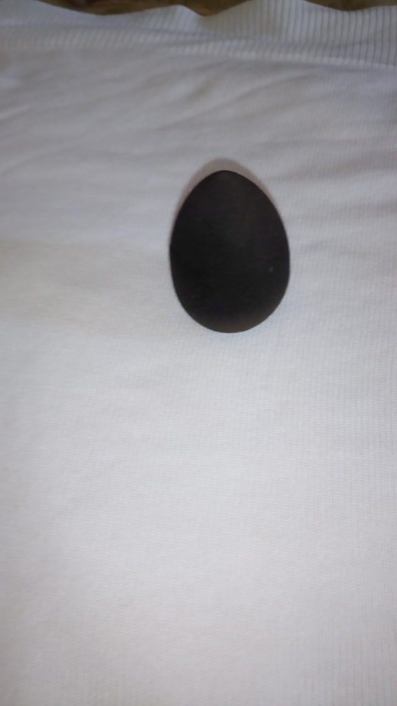 beauty blender - styled by France